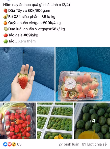 Giam doc cong ty du lich buon hoa qua song qua mua dich