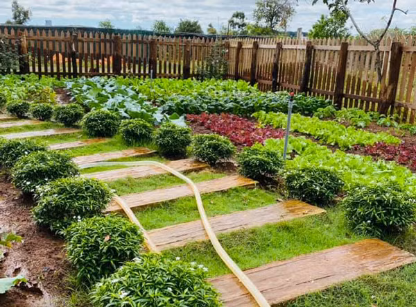 9x bien nha cu nat thanh noi o dep nhu co tich-Hinh-3