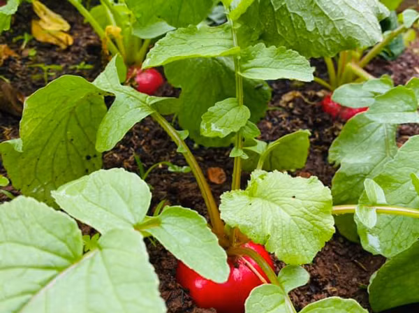 9x bien nha cu nat thanh noi o dep nhu co tich-Hinh-7