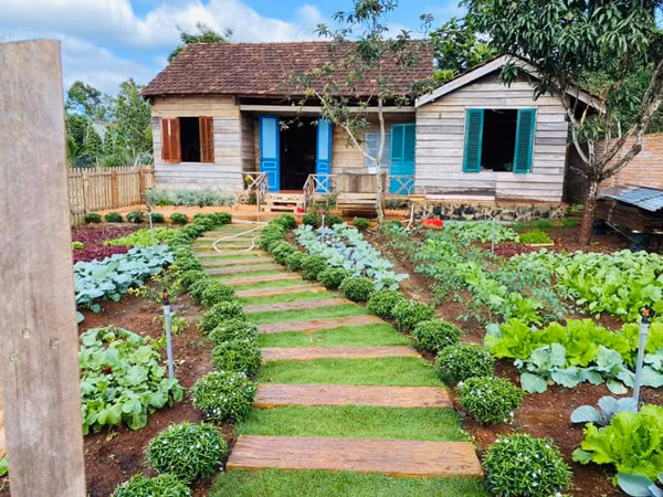 9x bien nha cu nat thanh noi o dep nhu co tich-Hinh-5