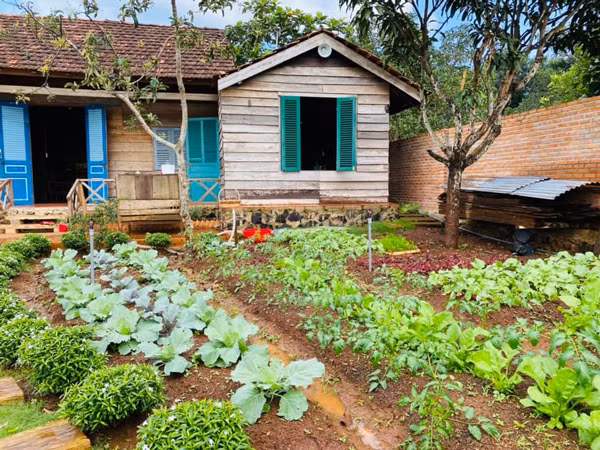 9x bien nha cu nat thanh noi o dep nhu co tich-Hinh-2