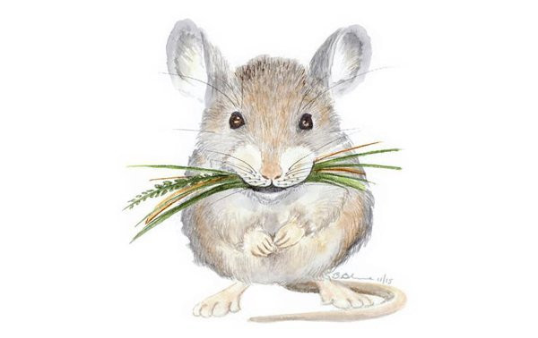 Dự đoán tháng 10 âm: 3 con giáp không cầu mà được tình duyên Du doan thang 10 am: 3 con giap khong cau ma duoc tinh duyen