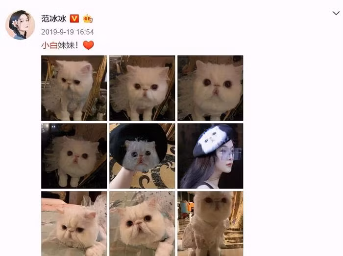 Sao Hoa Ngữ đo độ giàu qua thú cưng ảnh 4 Sao Hoa Ngữ đo độ giàu qua thú cưng ảnh 4