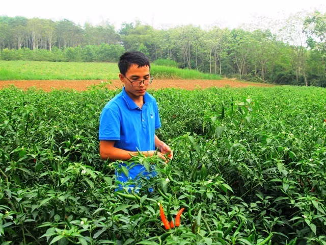 Trai xu Thanh lam giau tu trong dua vang cong nghe cao-Hinh-6