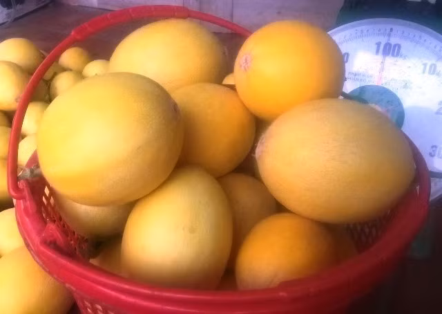 Trai xu Thanh lam giau tu trong dua vang cong nghe cao-Hinh-2