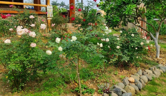 Chong mua do hieu cho bo mac ke vo con doi khat