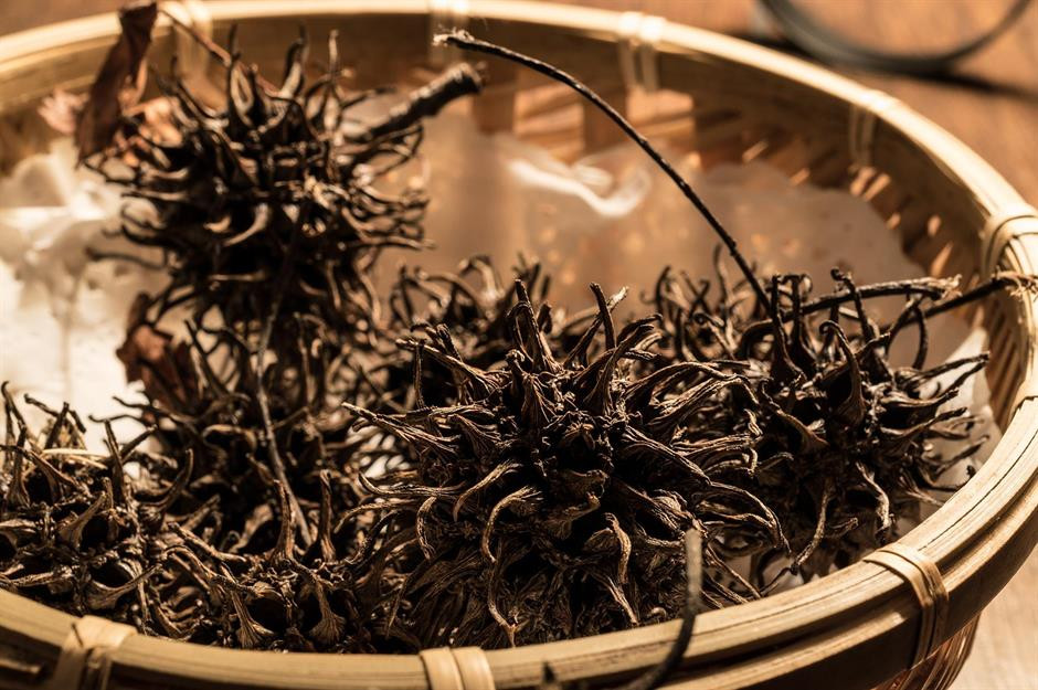 2 ty mot lang tra va nhung thuc pham dat den kho tin-Hinh-5