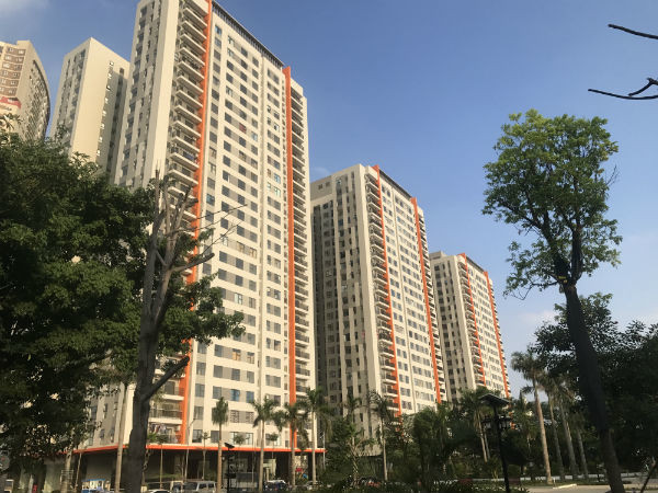 Nghich ly can ho nho, tuong re hoa dat, ngheo van thiet-Hinh-2