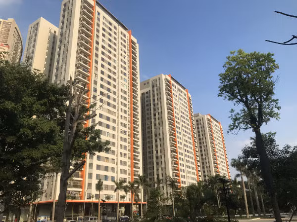 Nghich ly can ho nho, tuong re hoa dat, ngheo van thiet-Hinh-2