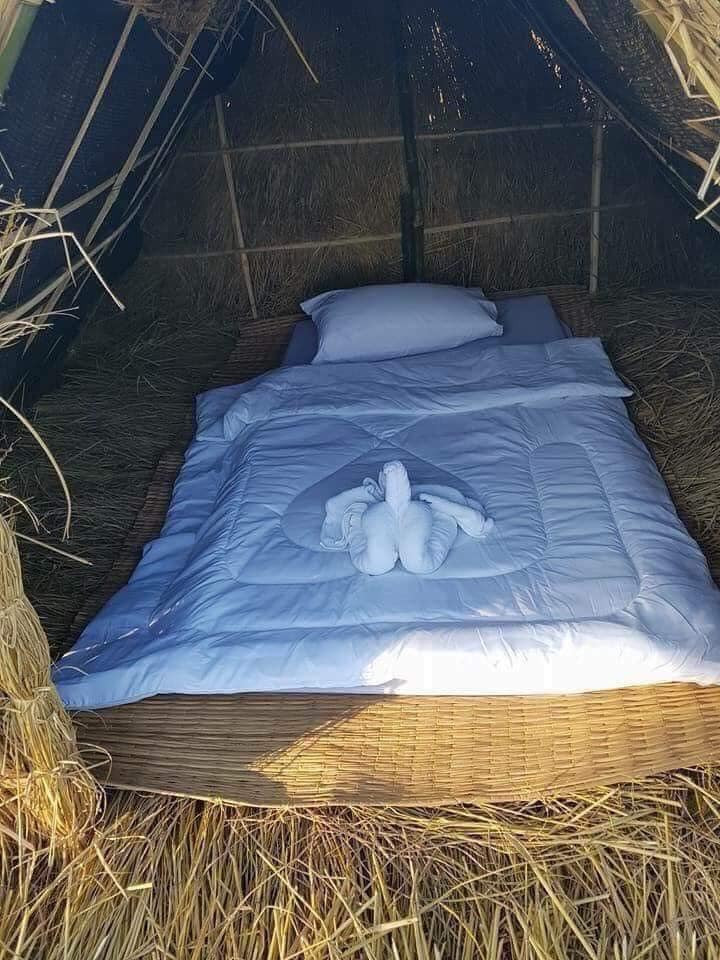 Homestay phong cách hương đồng gió nội lộ thiên gây sốt Homestay phong cach huong dong gio noi lo thien gay sot