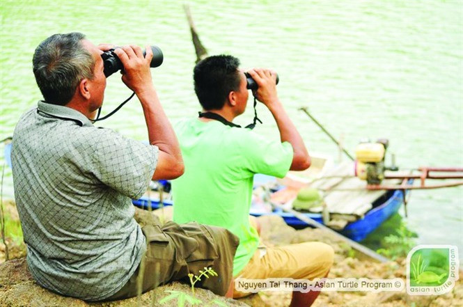 Loai rua Hoan Kiem va bi an chua duoc giai dap-Hinh-2