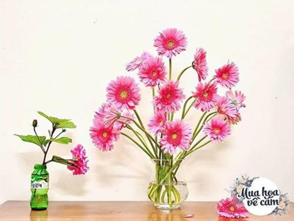 Me Viet mach nhau cach choi hoa dong tien duoc 2 tuan