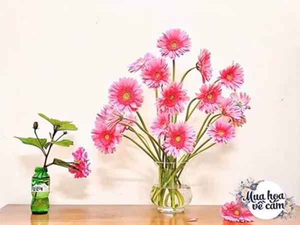 Me Viet mach nhau cach choi hoa dong tien duoc 2 tuan