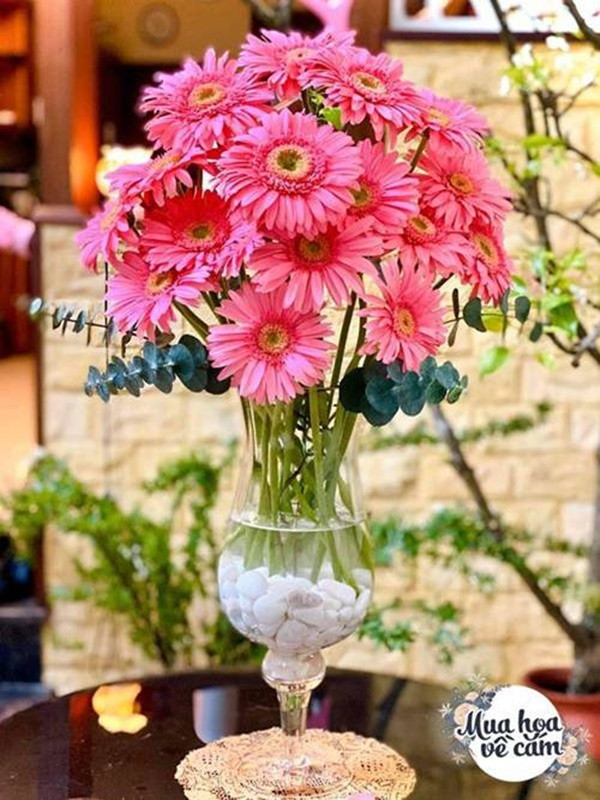 Me Viet mach nhau cach choi hoa dong tien duoc 2 tuan-Hinh-3