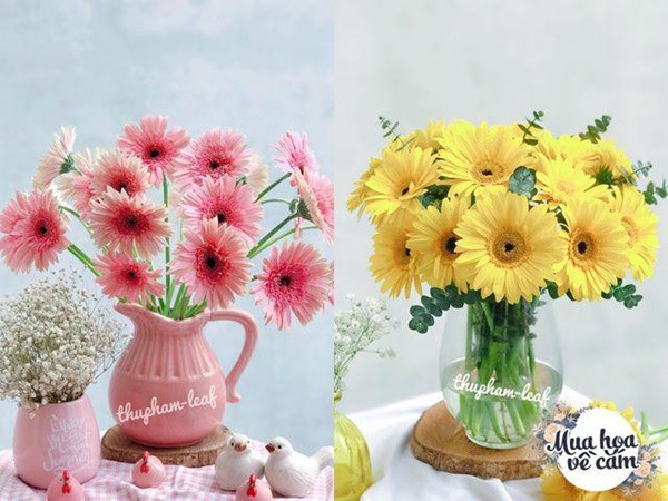 Me Viet mach nhau cach choi hoa dong tien duoc 2 tuan-Hinh-16