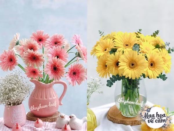 Me Viet mach nhau cach choi hoa dong tien duoc 2 tuan-Hinh-16