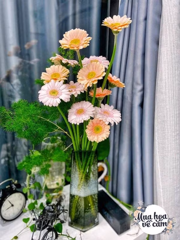 Me Viet mach nhau cach choi hoa dong tien duoc 2 tuan-Hinh-9