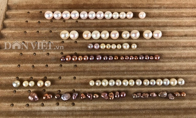 Trai dep Ninh Binh 'giau' kho ngoc bau vat 2 ty dong duoi ao-Hinh-2