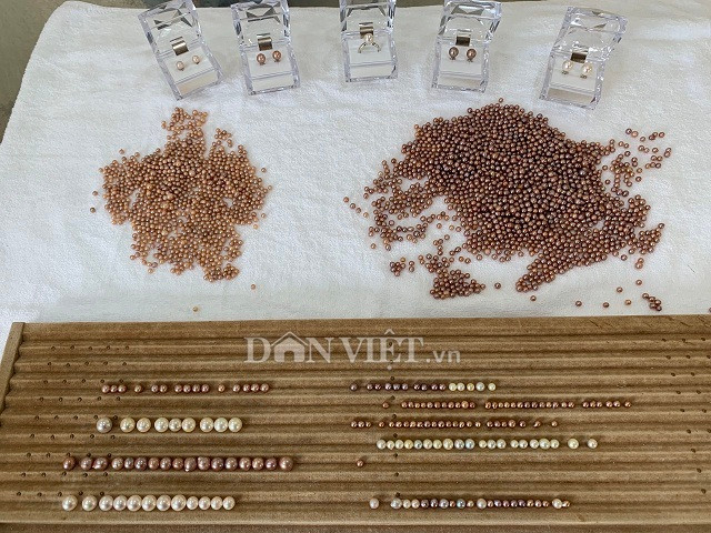 Trai dep Ninh Binh 'giau' kho ngoc bau vat 2 ty dong duoi ao-Hinh-4