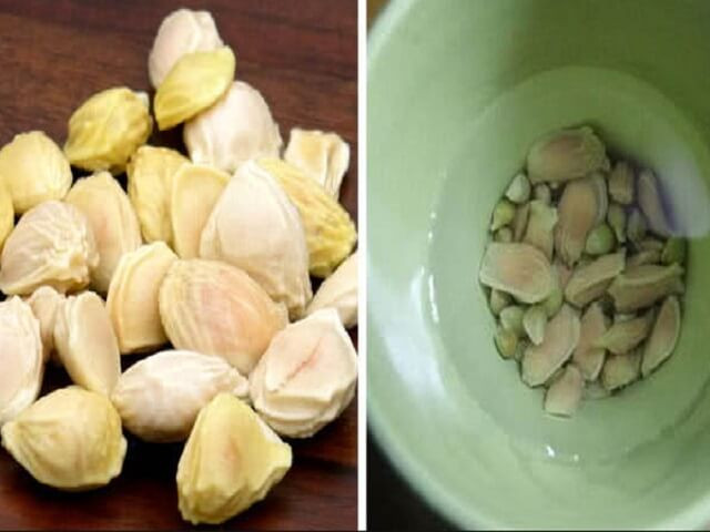 Lam dep da, giam can chua benh tu mot loai hat bo di