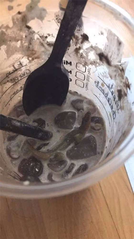 Co gai uong gan can coc tra sua moi phat hien ra vat the la-Hinh-2