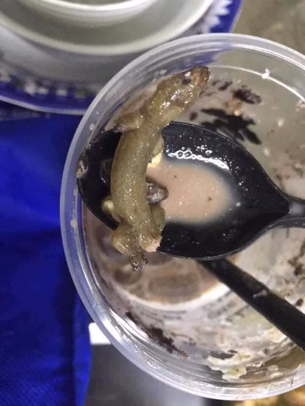 Co gai uong gan can coc tra sua moi phat hien ra vat the la-Hinh-3