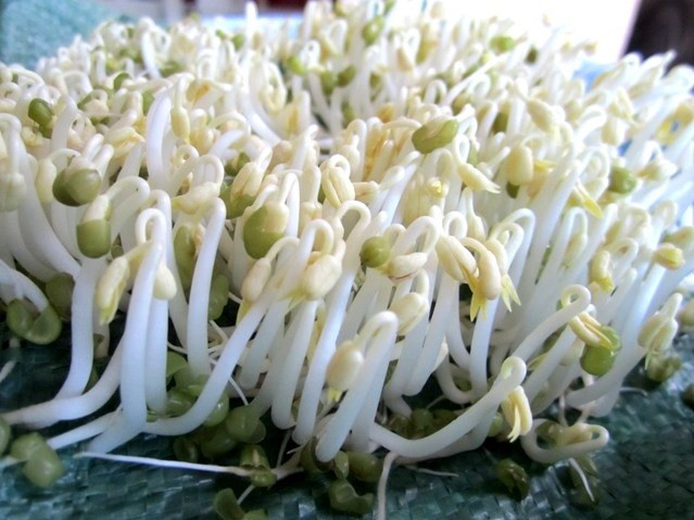 Meo chon mua gia do an toan, khong so u thuoc doc hai