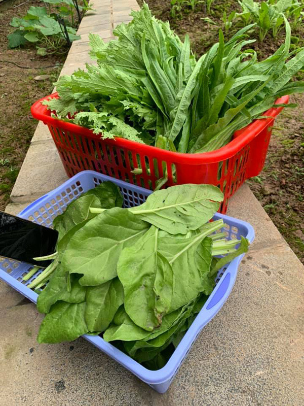 Hoa hau Nguyen Thi Huyen de lo anh con gai xinh xan-Hinh-11