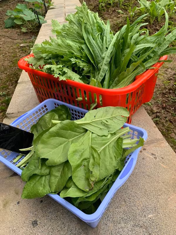 Hoa hau Nguyen Thi Huyen de lo anh con gai xinh xan-Hinh-11