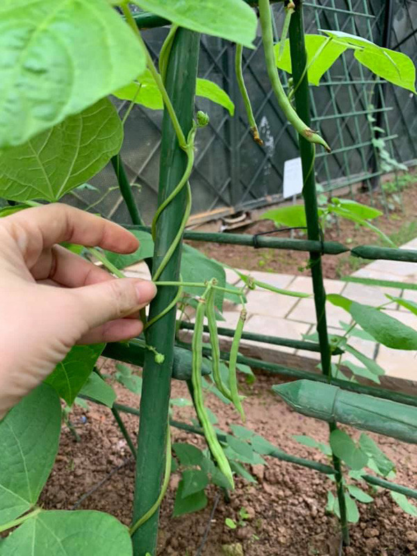 Hoa hau Nguyen Thi Huyen de lo anh con gai xinh xan-Hinh-10