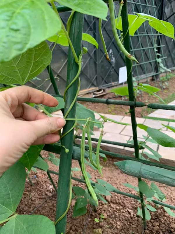 Hoa hau Nguyen Thi Huyen de lo anh con gai xinh xan-Hinh-10