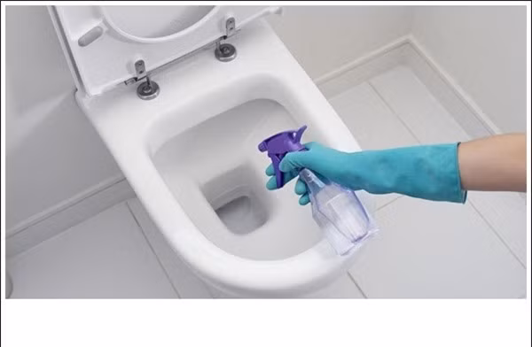 5 phút với mẹo này, bồn cầu được khử mùi hôi sạch bong như mới ảnh 2