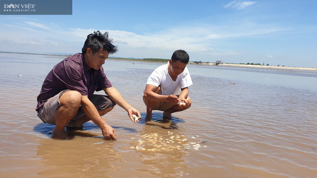 Tom hum giam gia 50%, ca mu e am nghin tan ngao u dong-Hinh-2