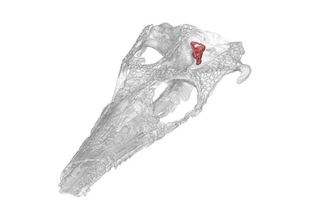 Ca sau tung muon o bien nhung that bai-Hinh-2