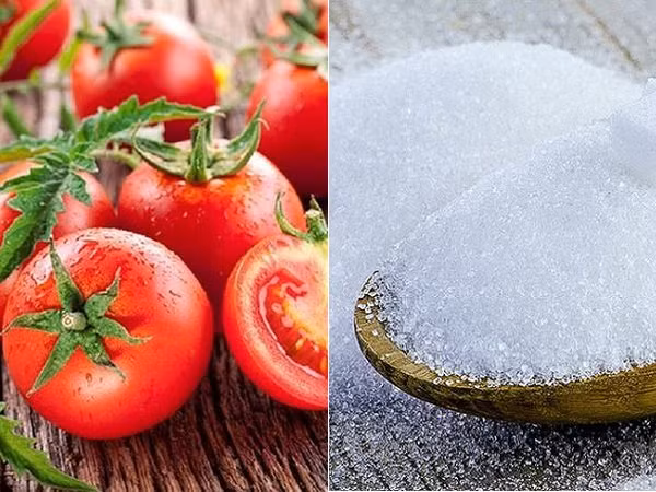 Bi quyet tre hoa lan da den 10 nam tuoi bang nguyen lieu bep-Hinh-2