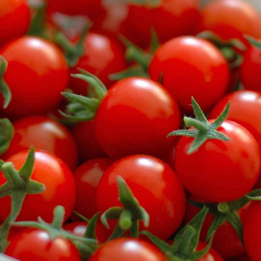 Bi quyet tre hoa lan da den 10 nam tuoi bang nguyen lieu bep