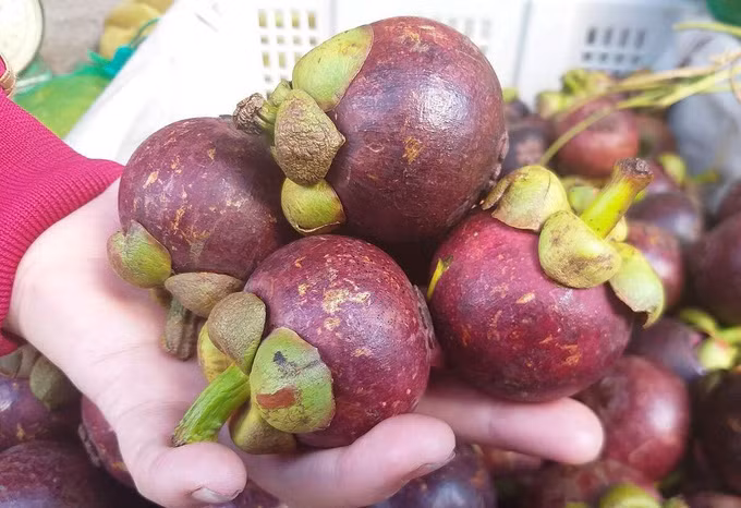 Phan biet mang cut Viet Nam va mang cut Thai Lan-Hinh-3