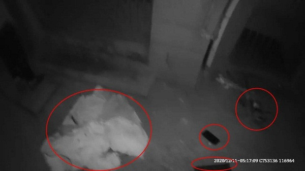 Phia sau chuyen co gai mac noi y go cua luc rang sang-Hinh-2