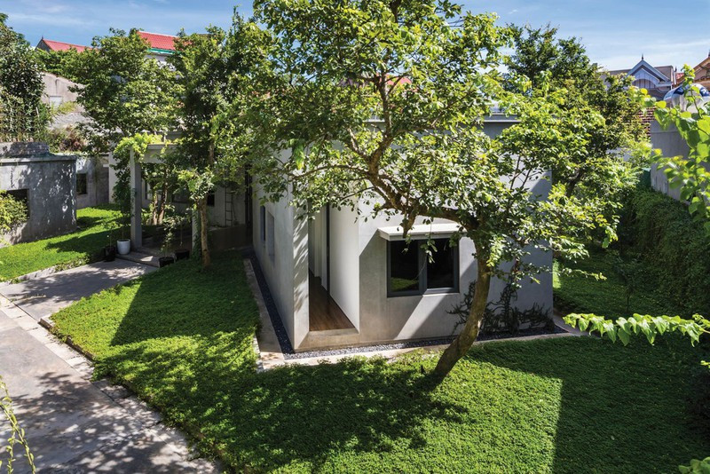 Không gian đan xen giữa các cây lớn được tính toán tránh tác động đến sự sống của cây. Tán lá cây bao trùm toàn bộ không gian được xem như mái nhà thứ hai của công trình.