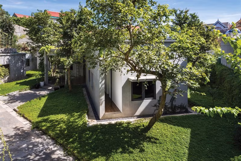 Không gian đan xen giữa các cây lớn được tính toán tránh tác động đến sự sống của cây. Tán lá cây bao trùm toàn bộ không gian được xem như mái nhà thứ hai của công trình.