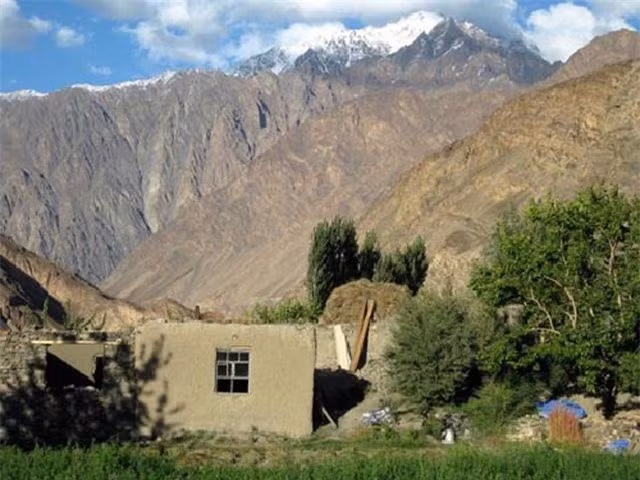 Kho tin bo toc cu dau nam moi lai 