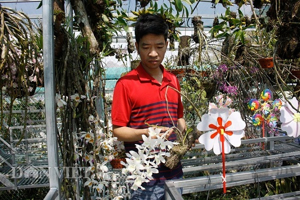 'Dot nhap' vuon lan rung tri gia 10 ty o tinh Lai Chau-Hinh-4