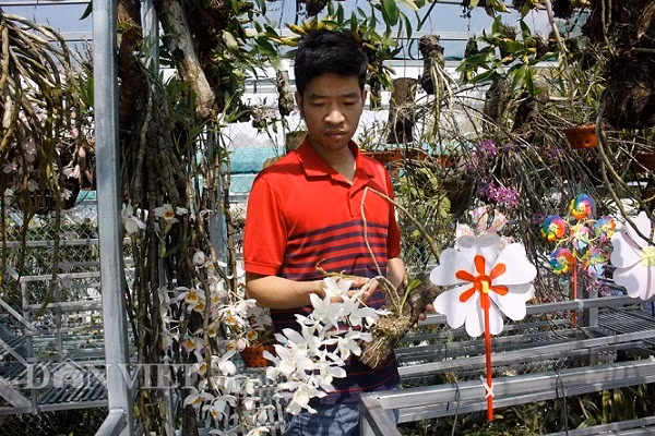 'Dot nhap' vuon lan rung tri gia 10 ty o tinh Lai Chau-Hinh-4