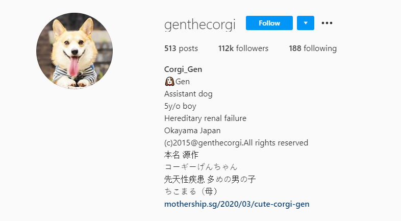 Idol cho mang bieu cam y het Nguyen Van Dui