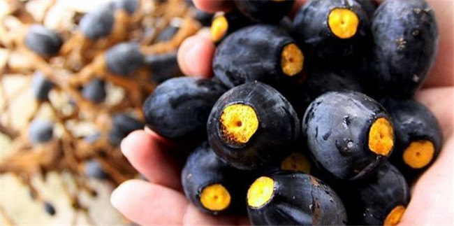 Giong qua 6 nam moi ket trai 1 lan, moi hat gia vai trieu-Hinh-3