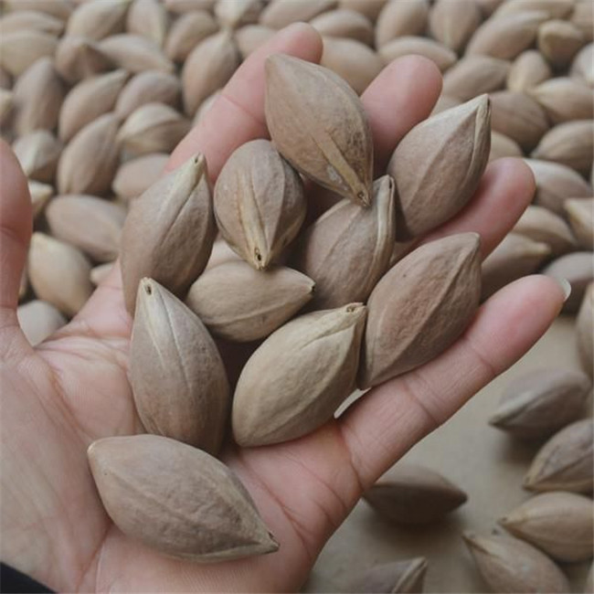 Giong qua 6 nam moi ket trai 1 lan, moi hat gia vai trieu-Hinh-4