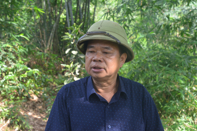 Ty phu nong dan trong loai cay xanh ngat nhung ra hoa quy