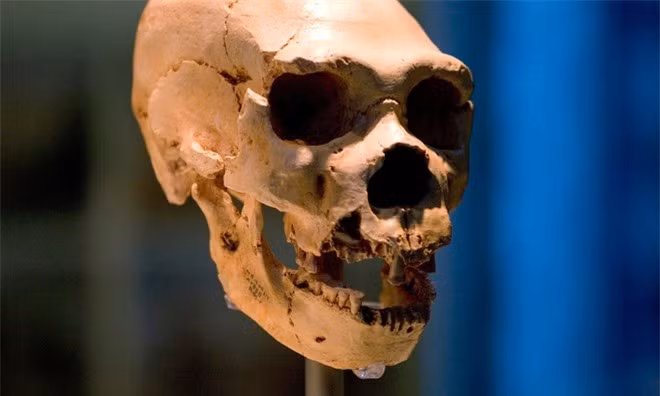 Tìm thấy bằng chứng về 'quần thể ma' của người cổ đại ảnh 1 Tìm thấy bằng chứng về 'quần thể ma' của người cổ đại ảnh 1