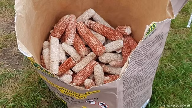 Loi ngo, thu vut di o Viet Nam nay thanh 'mo tien' khong du ban-Hinh-7