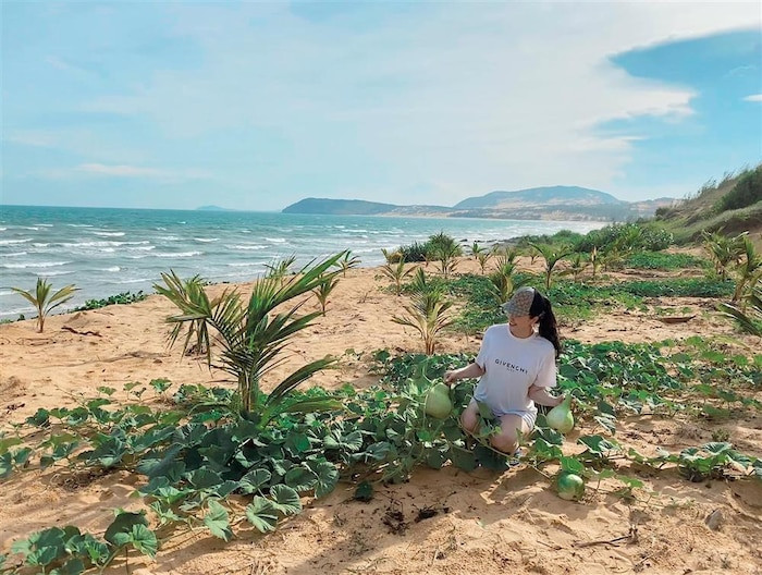 Bao Thy khoe kheo khu dat bien bac ty tai Phan Thiet